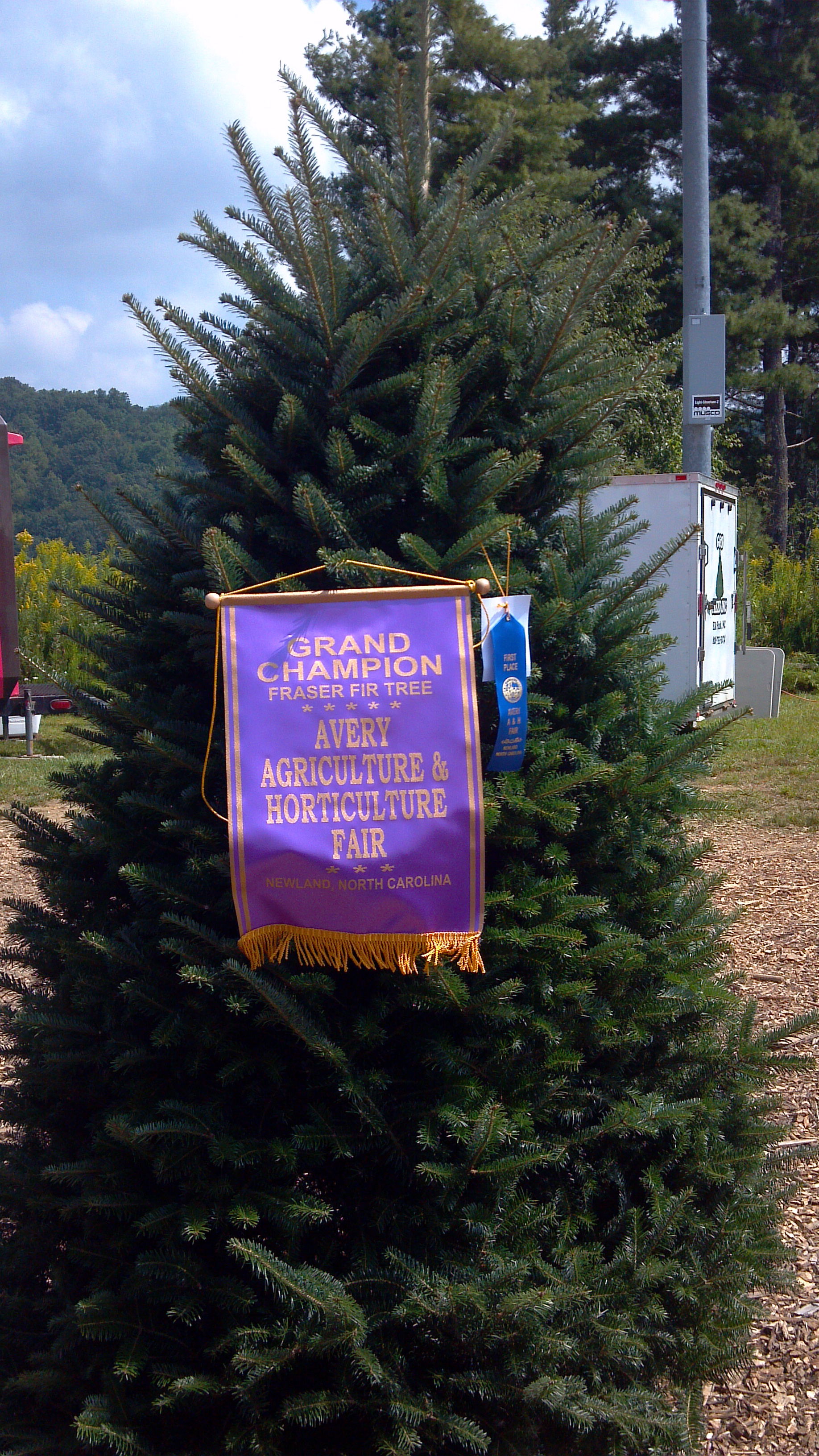 cartner christmas tree farm farm blog cartner christmas tree farm farm blog